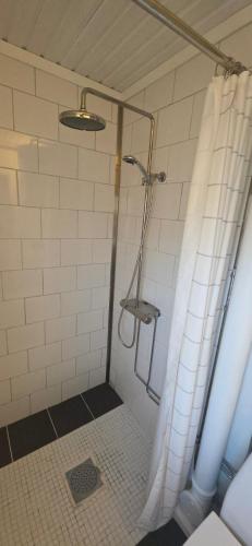 a bathroom with a shower with a shower curtain at Örnen' in Undenäs