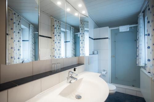 a bathroom with a sink and a mirror and a toilet at Hotel Bischof in Schmallenberg