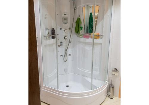 a shower with a glass door in a bathroom at Forest Edge Guesthouse in Aghavnadzor