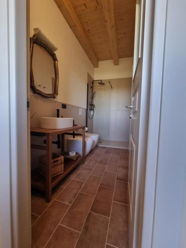 a bathroom with a sink and a mirror and a tub at Ca' Sinoira in Nizza Monferrato