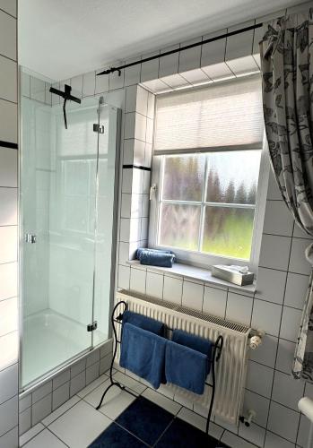 a bathroom with a shower and a bench with blue towels at Ferienhof-Wohler-Wohnung-5 in Bojendorf