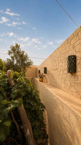 a stone wall with plants next to a building at Thayri Hostel - Sea View in Sidi Kaouki