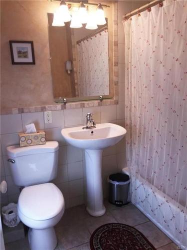 a bathroom with a toilet and a sink at Hillcrest Bed and Breakfast in Jim Thorpe