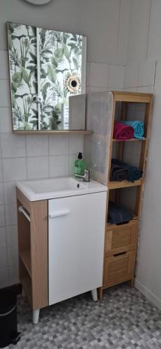 a bathroom with a sink and a mirror at Ma petite maison in Vierzon