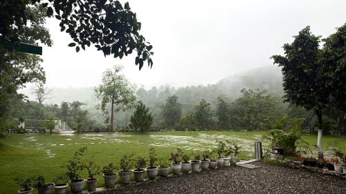 a field with a bunch of plants in a yard at Saraiville- A Boutique Riverside Resort in Dehradun