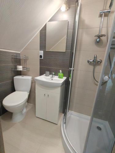 a bathroom with a toilet and a sink and a shower at Noclegi Pod Lasem in Polańczyk