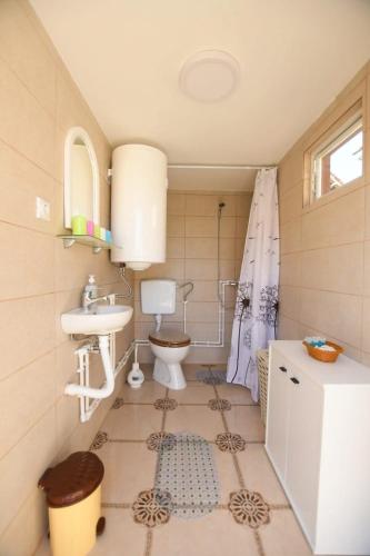 a bathroom with a sink and a toilet at Rankine Kolibe in Kladovo