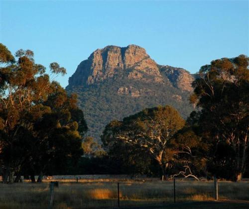 a mountain in the distance with trees and a fence at Grampians View B&B in Dunkeld