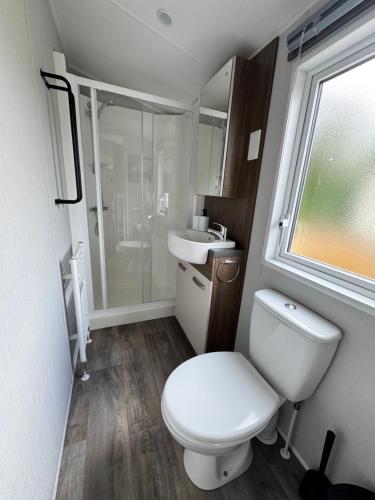 a small bathroom with a toilet and a sink at Prachtig chalet DE WADLOPER in Westerland