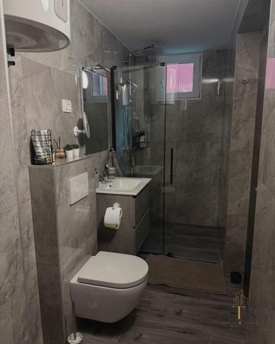 a bathroom with a shower and a toilet and a sink at ATK apartment in Koper