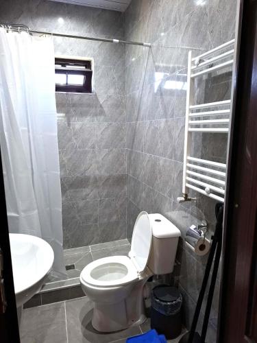 a bathroom with a toilet and a sink at CityHaven in Ureki