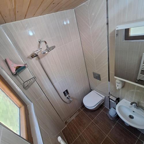 a bathroom with a toilet and a sink at Katipogulları Apart in Uzungöl