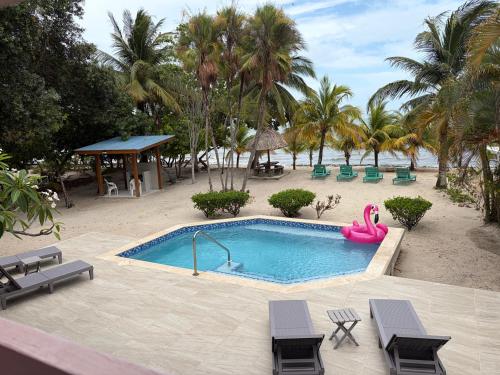 a swimming pool with a pink flamingo in a resort at Beachfront Bungalow-Pool & Oceanfront-Views-Golf in Seine Bight Village