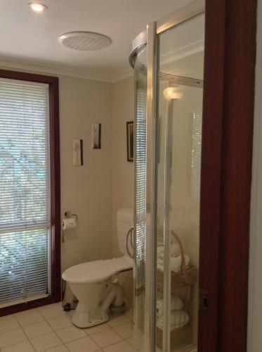 a bathroom with a toilet and a glass shower at Whispering Pines Bed and Breakfast in Collie