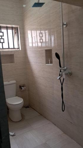 a bathroom with a shower with a toilet in it at Posh Hotelia in Hausa