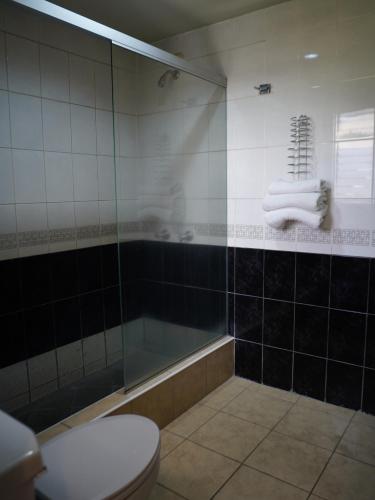 a bathroom with a tub and a toilet and towels at Hotel Bresciani in La Aurora