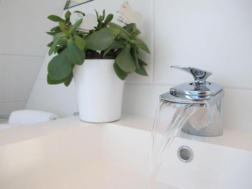 a bathroom sink with a potted plant and a faucet at Haus-Moewe-Jonathan-Wohnung-1 in Morsum