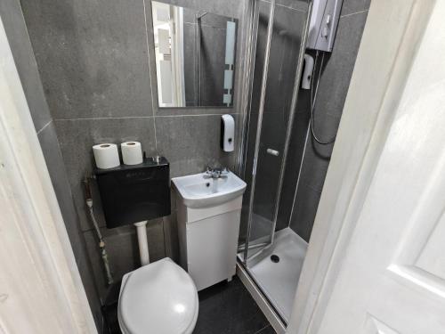 a small bathroom with a toilet and a sink at Walnut Studio - Self Contained One-Bed Studio Flat in Oxford