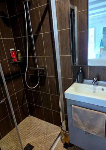 a bathroom with a shower and a sink at Le Sargier in Levens