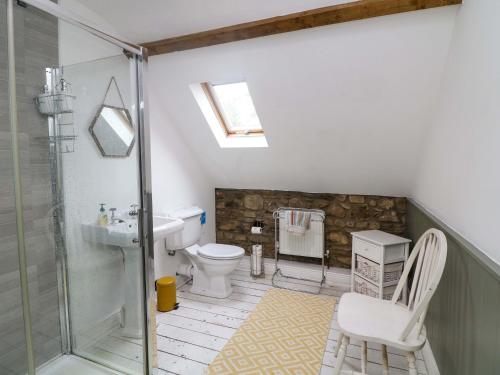 a bathroom with a shower and a toilet and a sink at Childwall Cottage in Tullagher