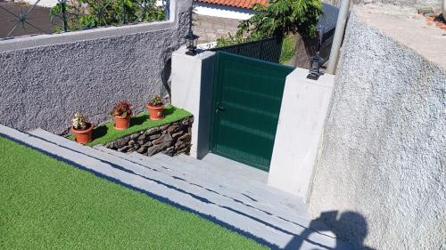 a man standing in front of a green door with potted plants at Casa D'Avó Filó in Funchal