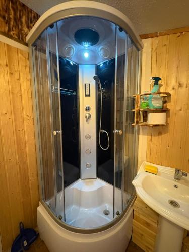 a shower in a bathroom with a toilet and a sink at Kempink U Šerifa in Protivín