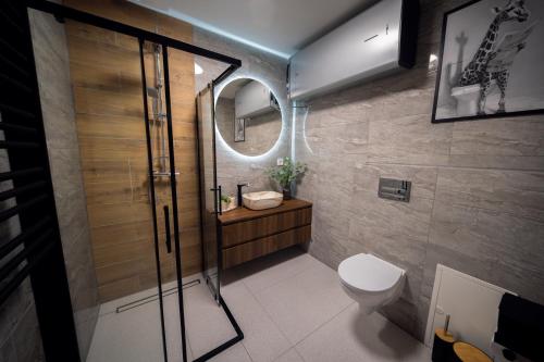 a bathroom with a toilet and a sink and a mirror at Rusnės Vėjas in Rusnė