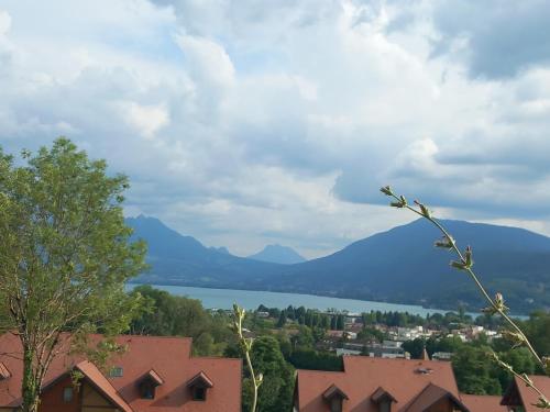 T4 Calme Lac et Montagne