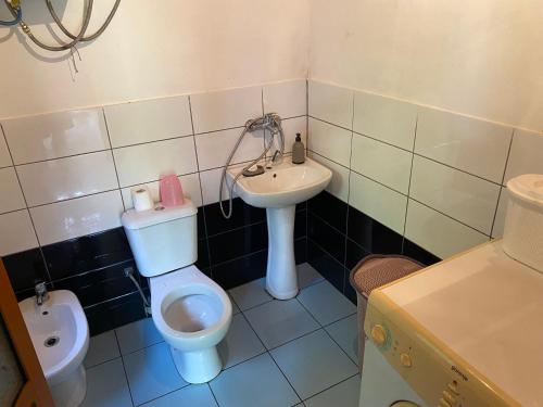a small bathroom with a toilet and a sink at The Meridian in Valbonë