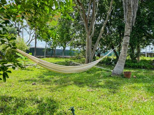 a hammock tied to a tree in a field at Loft Bugambilia en Casa Viva Merida in Techoh