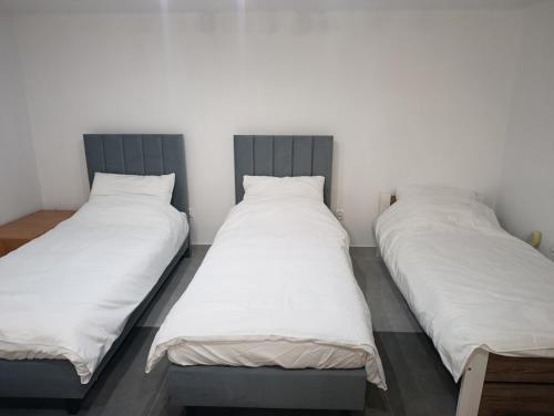 two beds sitting next to each other in a room at PokojeS12 in Chełm