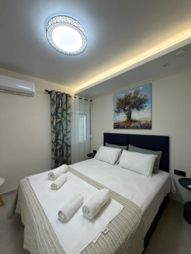 Zoé Suites