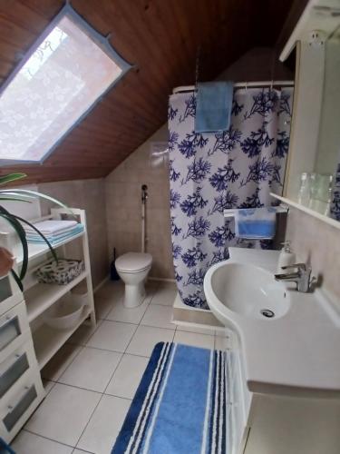 a small bathroom with a sink and a toilet at Czanek Apartman in Komárom