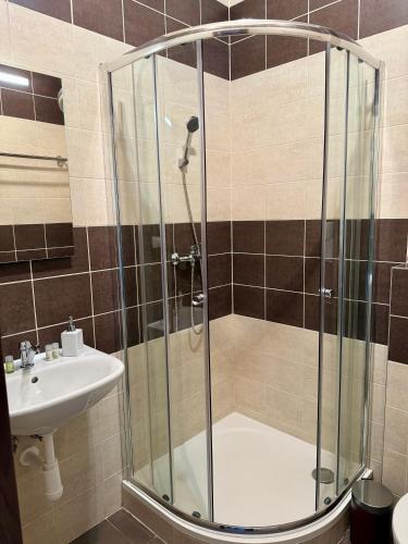 a bathroom with a shower and a sink at Apartmány Lavender 2 in Nova Dedinka