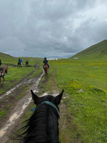 a person riding a horse down a dirt road at House in Kyzart
