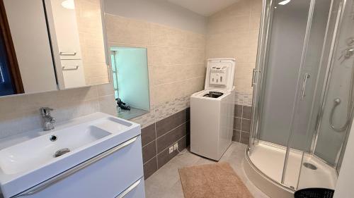 a small bathroom with a sink and a shower at Chez Aneta in Sisteron