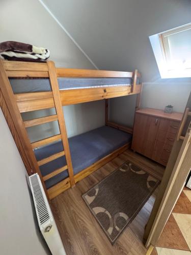 a small room with bunk beds and a ladder at Domek u Moni Kaszuby in Sulęczyno