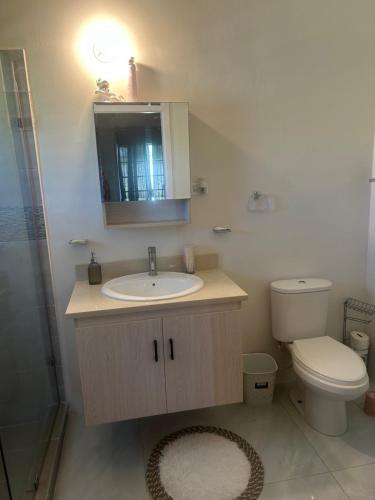 a bathroom with a sink and a toilet and a mirror at Pleasant 1 bed room in Discovery Bay