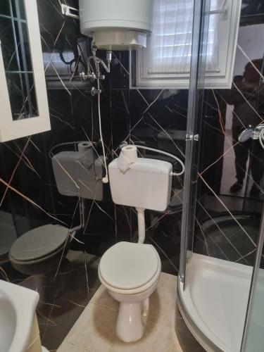 a bathroom with a toilet and a shower at Apartmani Vesna in Vir