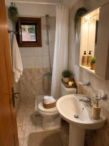a bathroom with a toilet and a sink at Archontiko tou Krommyda in Elati