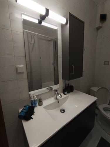 ein Badezimmer mit Waschbecken, Spiegel und Toilette in der Unterkunft Mountain Icon in Florina