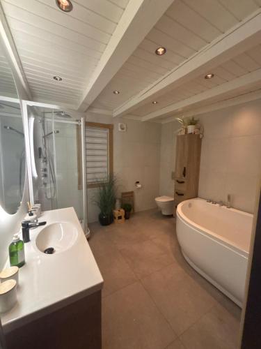 a bathroom with a sink and a tub and a toilet at Ørnereiret in Torvetjørn