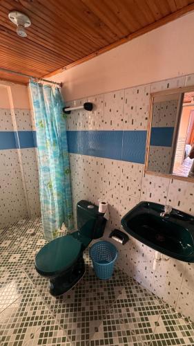 a bathroom with a green toilet and a sink at Hotel Casaloma in Florián