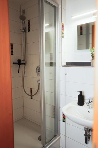 a bathroom with a shower and a sink at Black Forest Living am Marktplatz in Freudenstadt