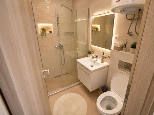 a bathroom with a shower and a toilet and a sink at Apartmani Sofrenic-Adonis in Zlatibor