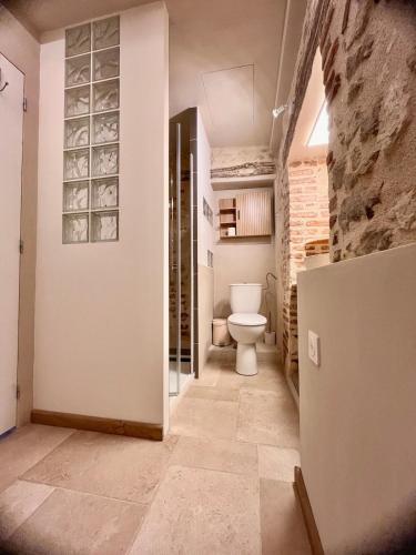 a bathroom with a toilet in a room at Cozy loft, Loire et chateaux in Messas