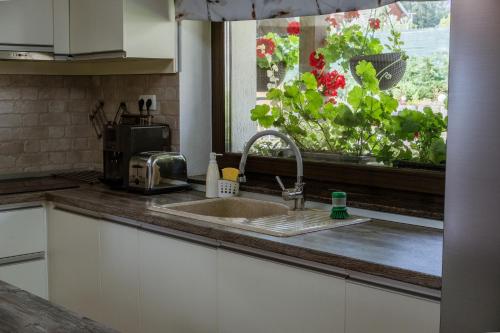 a kitchen with a sink and a window with flowers at Green Valley Guesthouse in Izvoru Mureşului