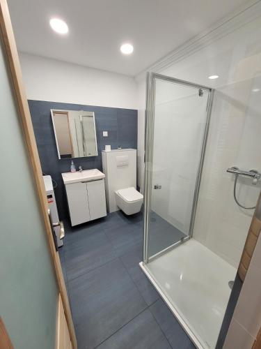 a bathroom with a shower and a toilet and a sink at Magic Downtown Szeged in Szeged