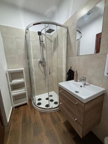 a bathroom with a shower and a sink at Bergblick in Arpaşu de Sus