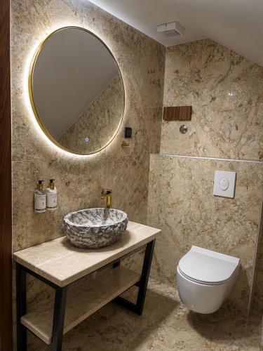 a bathroom with a sink and a toilet and a mirror at Hotel Falcon in Žabljak